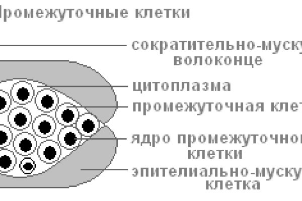 Кракен сайт биз