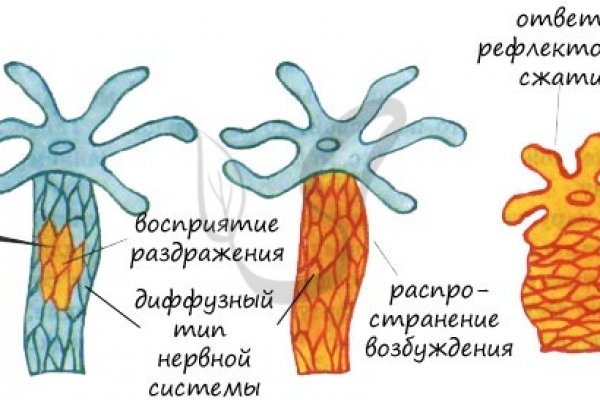 Мега кракен блэк спрут