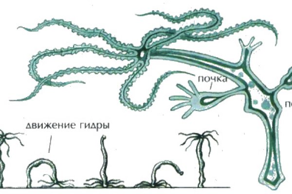 Купить наркотики через кракен