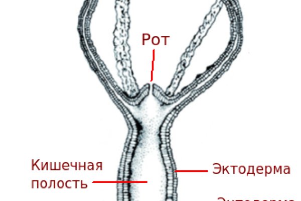 Кракен онлайн